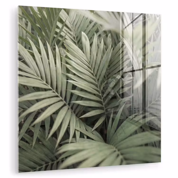 Plant - Palmbladeren - Natuur - Groen plexiglas 5mm klein -zzzproduct_nieuw