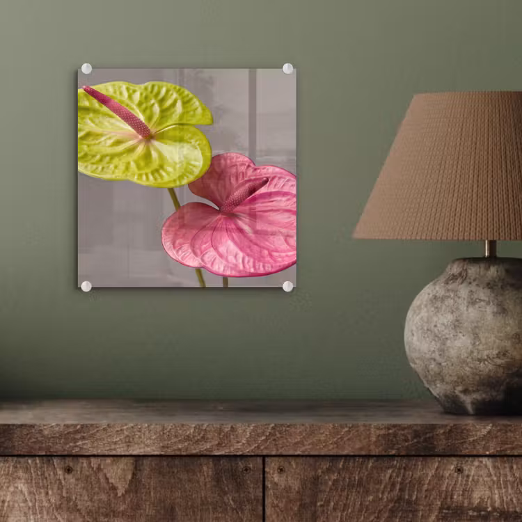Planten - Anthurium - Groen - Roze plexiglas 5mm klein -sfeer3