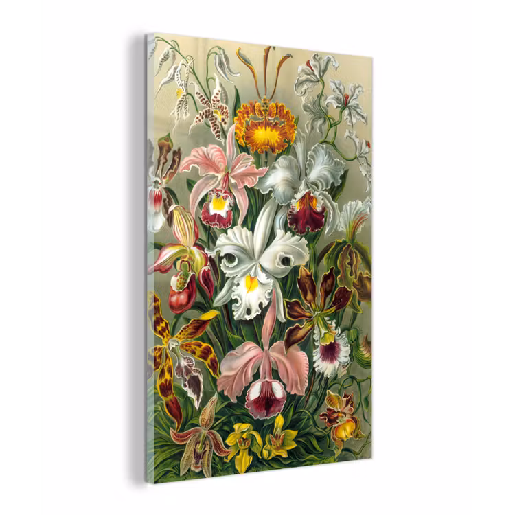 Planten - Natuur - Bloemen - Ernst Haeckel plexiglas 5mm klein -z3d
