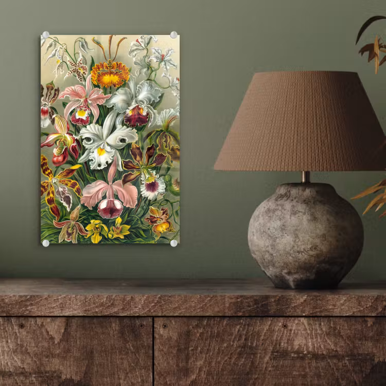 Planten - Natuur - Bloemen - Ernst Haeckel plexiglas 5mm klein -sfeer3