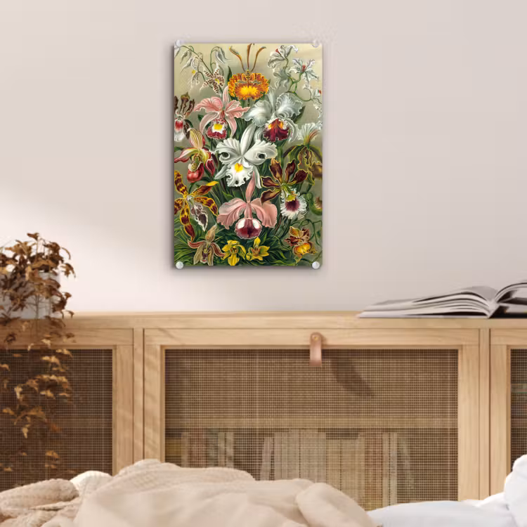 Planten - Natuur - Bloemen - Ernst Haeckel plexiglas 5mm klein -sfeer4