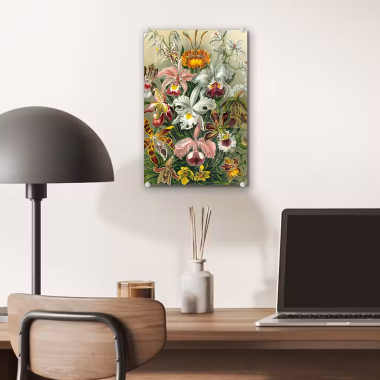 Planten - Natuur - Bloemen - Ernst Haeckel plexiglas 5mm klein -sfeer6