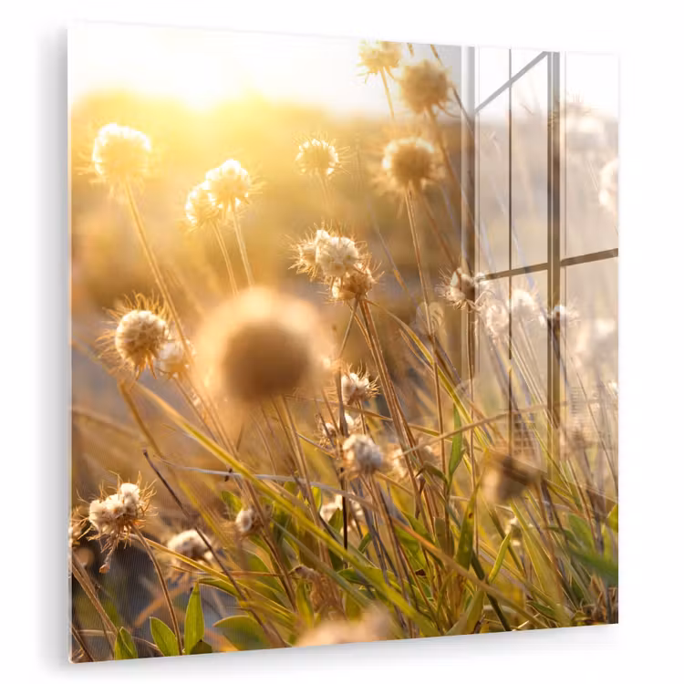Planten - Natuur - Bloemen - Zon - Horizon plexiglas 5mm klein -zzzproduct_nieuw