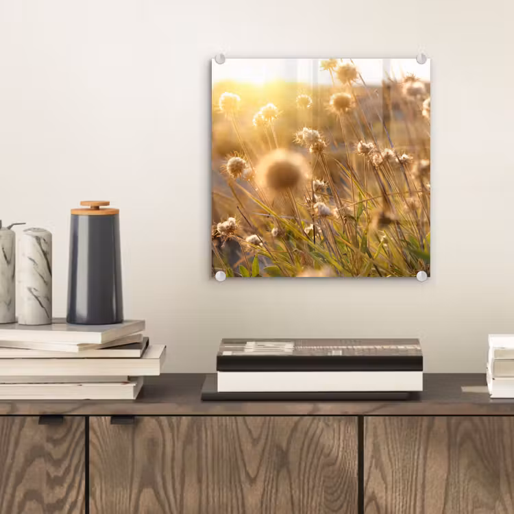 Planten - Natuur - Bloemen - Zon - Horizon plexiglas 5mm klein -sfeer1