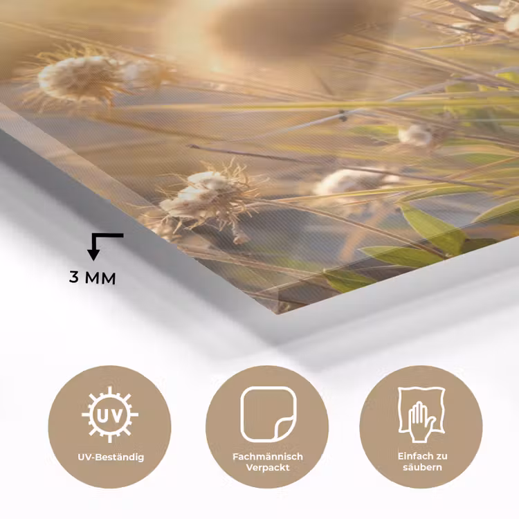 Planten - Natuur - Bloemen - Zon - Horizon plexiglas 5mm klein -wsfeer2_DE