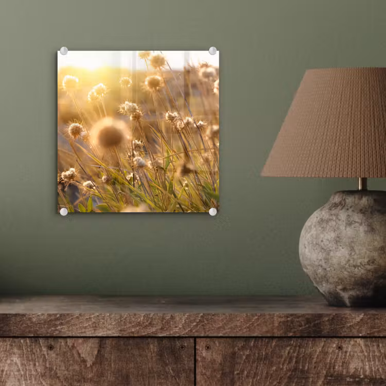 Planten - Natuur - Bloemen - Zon - Horizon plexiglas 5mm klein -sfeer3