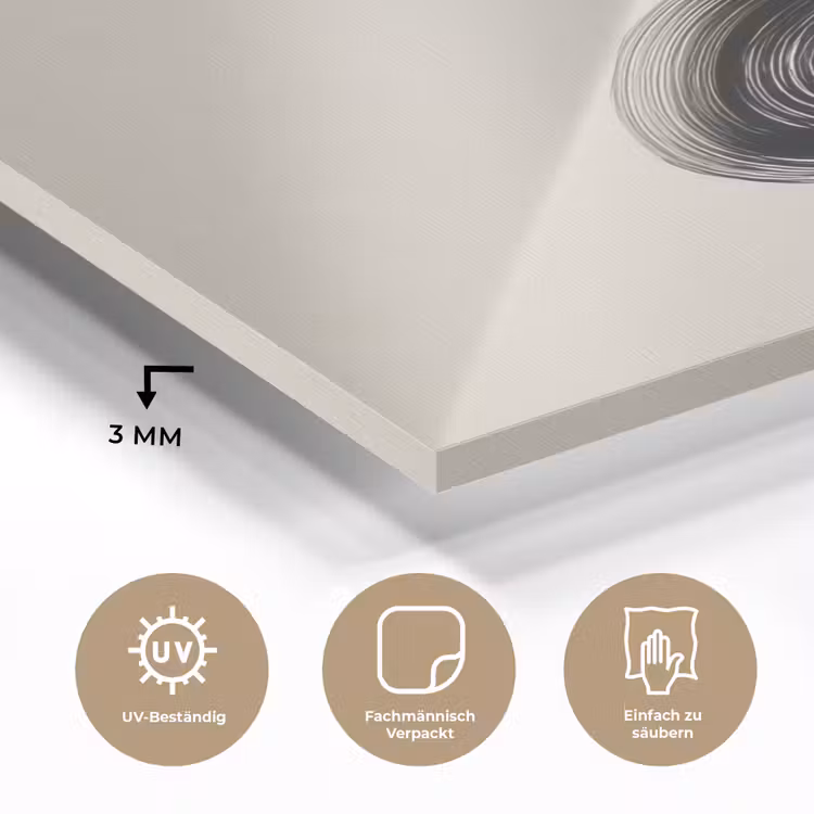 Penseelstreek - Zwart - Minimalistisch plexiglas 5mm klein -wsfeer2_DE