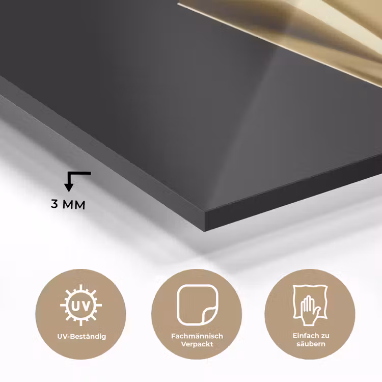 Friet - Goud - Chrome - Eten plexiglas 5mm klein -wsfeer2_DE