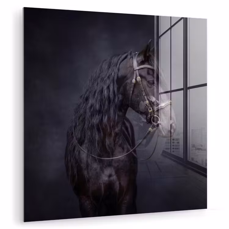 Portret - Paard - Donker plexiglas 5mm klein -zzzproduct_nieuw