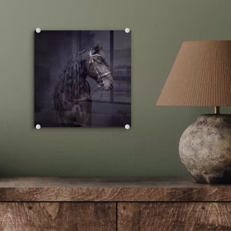 Portret - Paard - Donker plexiglas 5mm klein -sfeer3