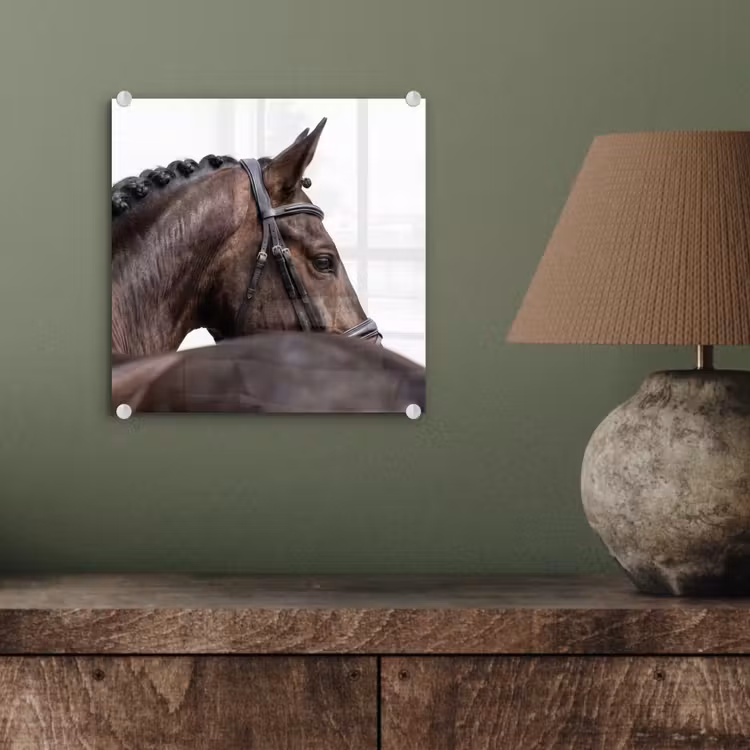 Portret - Paard - Elegant plexiglas 5mm klein -sfeer3