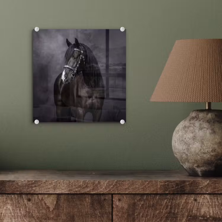 Portret - Paard - Zwart plexiglas 5mm klein -sfeer3