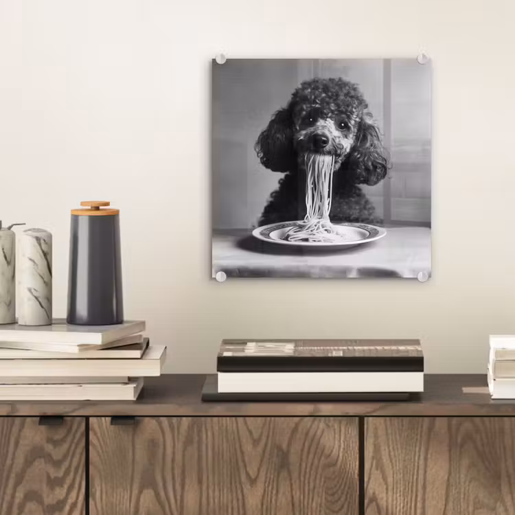 Poedel - Hond - Zwart - Wit - Schattig - Pasta plexiglas 5mm klein -sfeer1