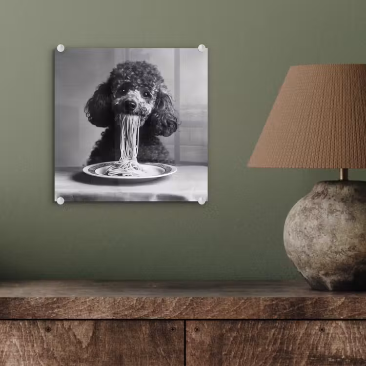 Poedel - Hond - Zwart - Wit - Schattig - Pasta plexiglas 5mm klein -sfeer3