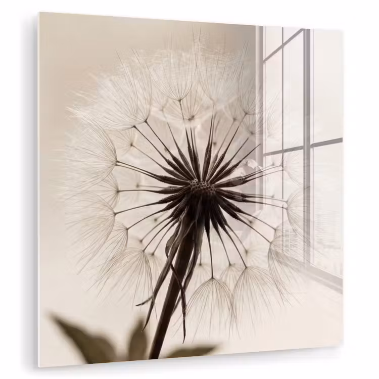 Paardenbloem - Minimalistisch - Wit plexiglas 5mm klein -zzzproduct_nieuw