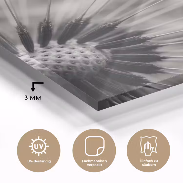 Paardenbloem - Zwart - Wit plexiglas 5mm klein -wsfeer2_DE