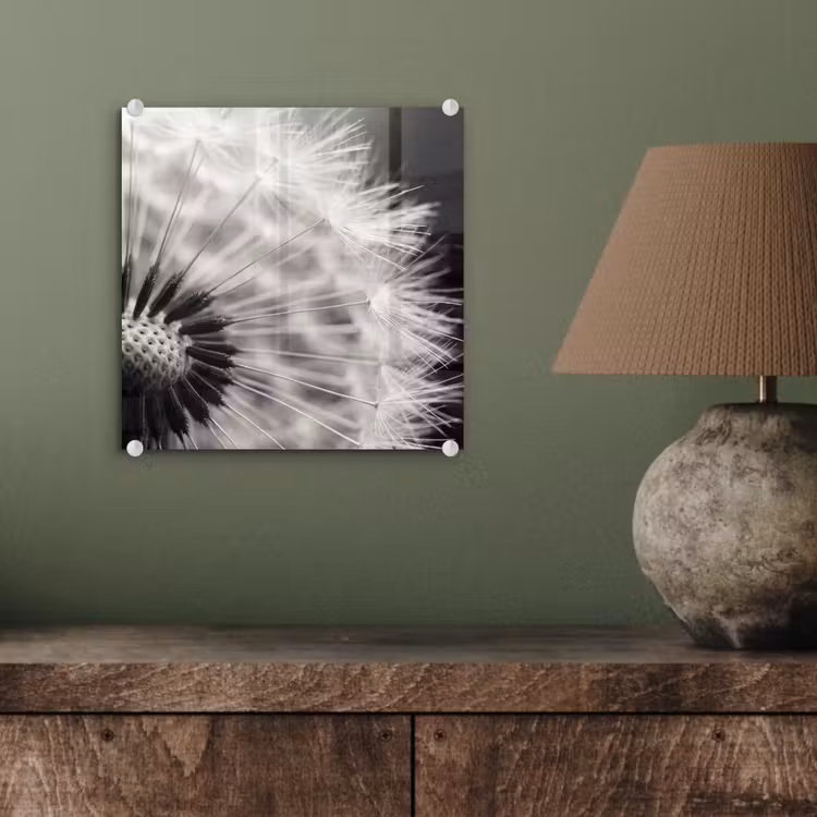 Paardenbloem - Zwart - Wit plexiglas 5mm klein -sfeer3
