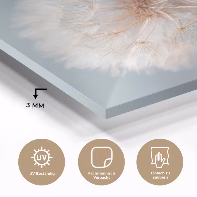 Paardenbloemen - Pluisjes - Wit plexiglas 5mm klein -wsfeer2_DE