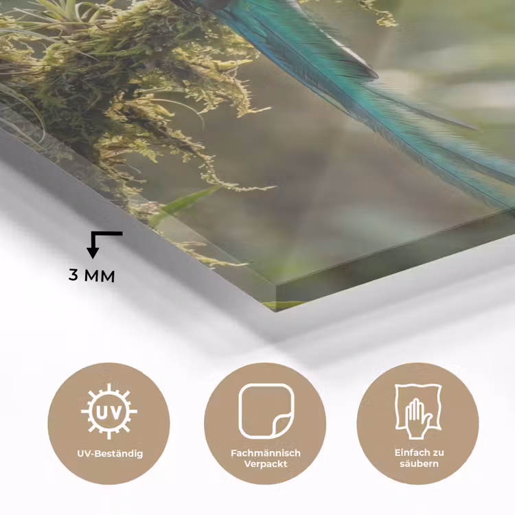 Quetzal - Jungle - Natuur - Groen plexiglas 5mm klein -wsfeer2_DE