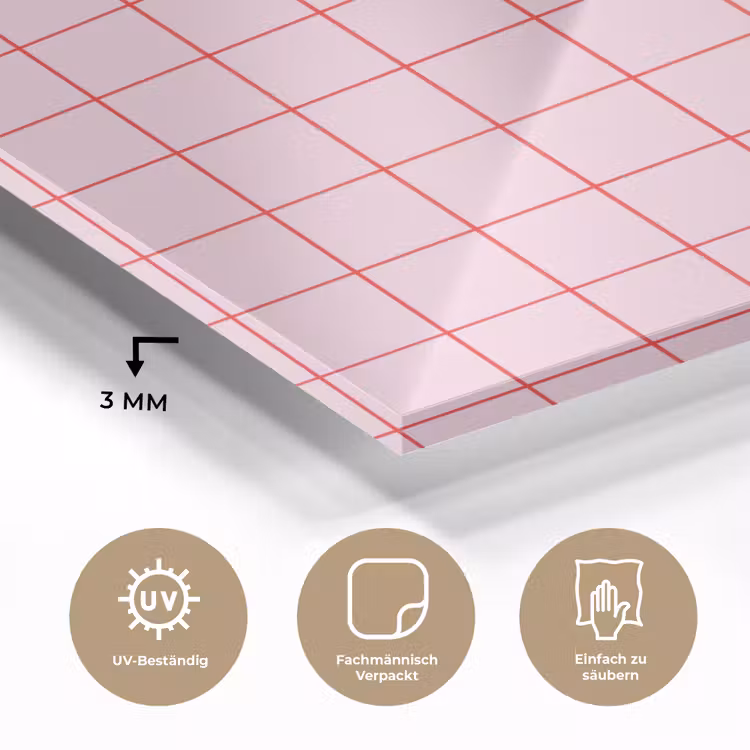 Raster - Patroon - Roze plexiglas 5mm klein 11 -wsfeer2_DE