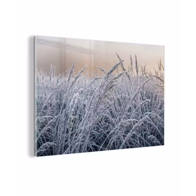 Rijp - Gras - Kristallen - Winter - Minimalistisch plexiglas 5mm klein -zzzproduct_nieuw