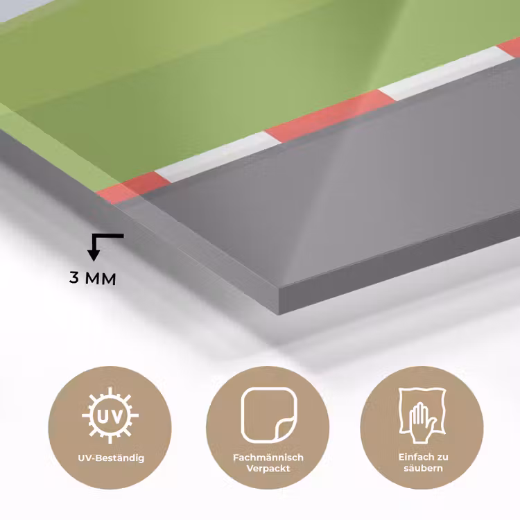 Racebaan - Illustratie - Sport - Kleurrijk plexiglas 5mm klein -wsfeer2_DE