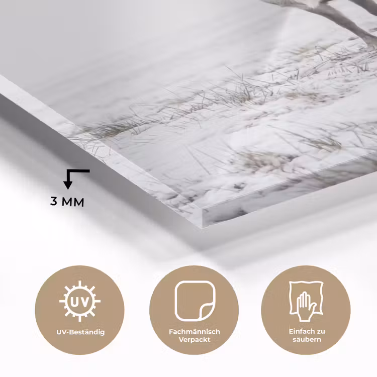 Rendier - Gewei - Sneeuw - Winter plexiglas 5mm klein -wsfeer2_DE