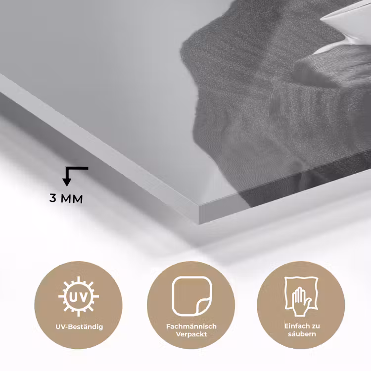 Coltrui - Hond - Bril - Mok plexiglas 5mm klein -wsfeer2_DE