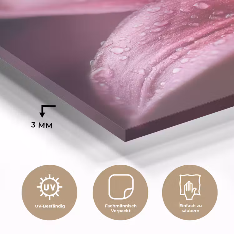 Roze - lelie - Dauwdruppels plexiglas 5mm klein -wsfeer2_DE