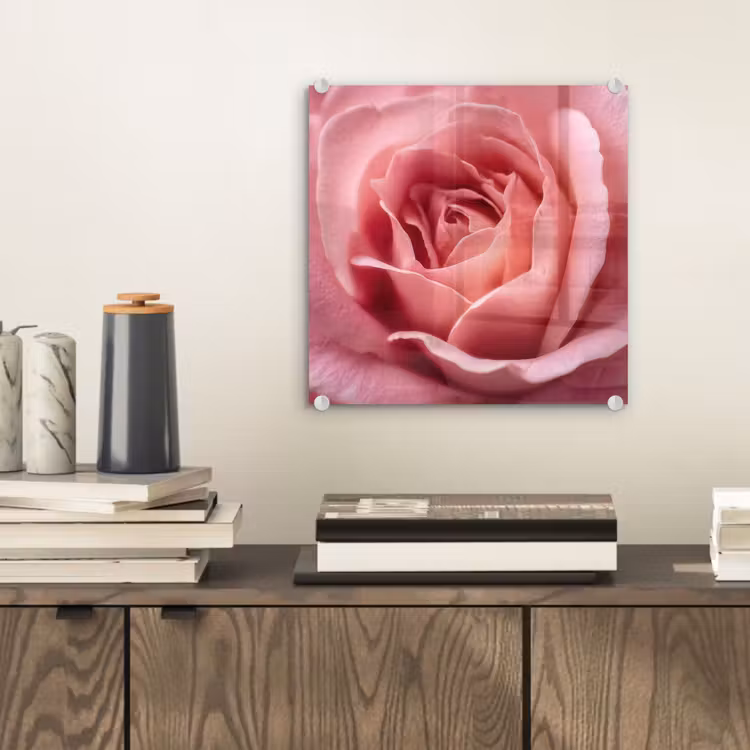 Roze - Roos - Romantisch plexiglas 5mm klein -sfeer1
