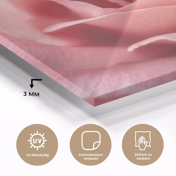 Roze - Roos - Romantisch plexiglas 5mm klein -wsfeer2_DE