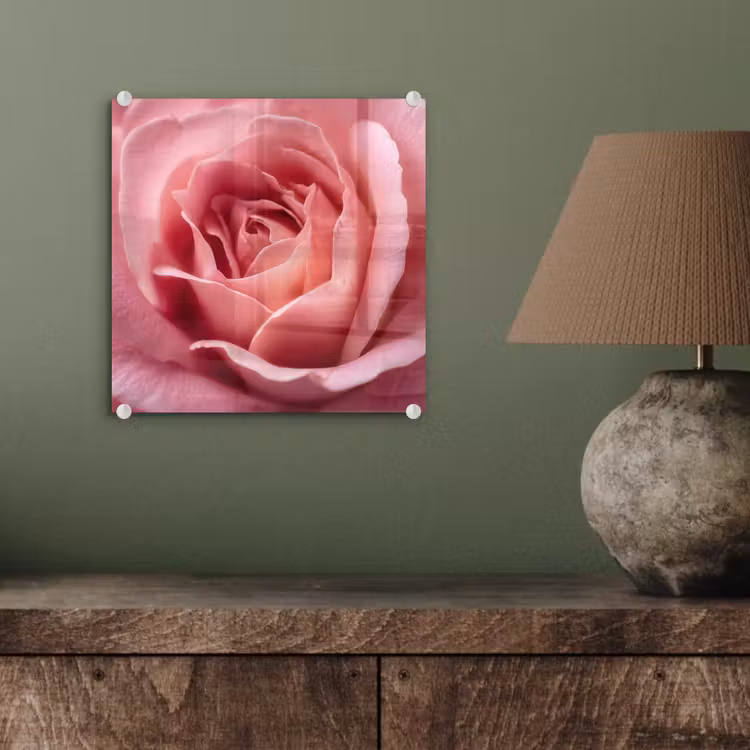 Roze - Roos - Romantisch plexiglas 5mm klein -sfeer3