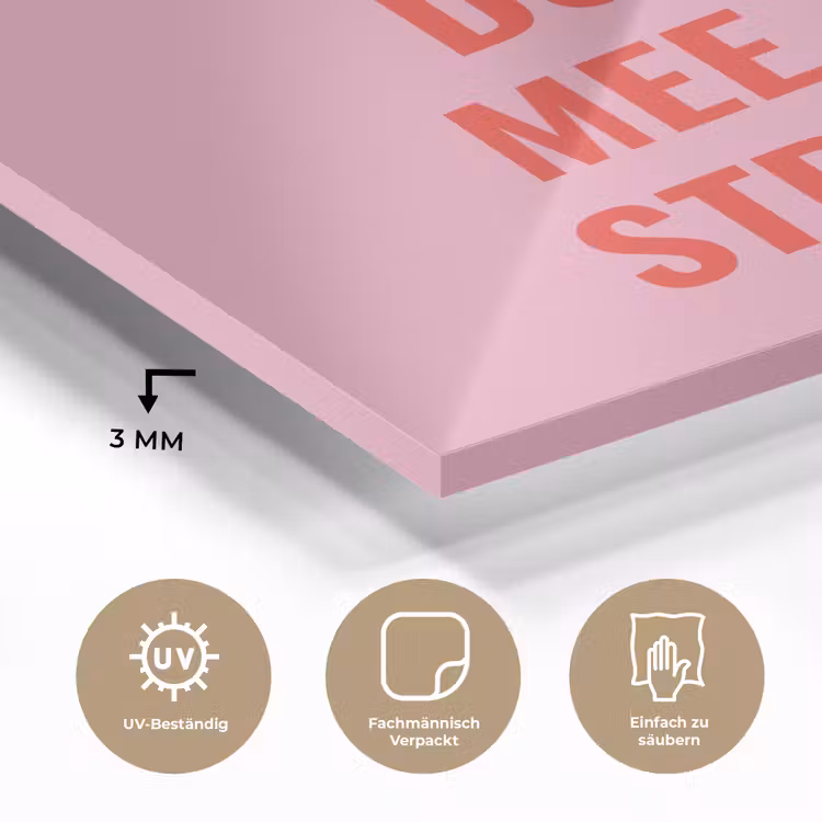 Roze - Zon - Quote plexiglas 5mm klein -wsfeer2_DE