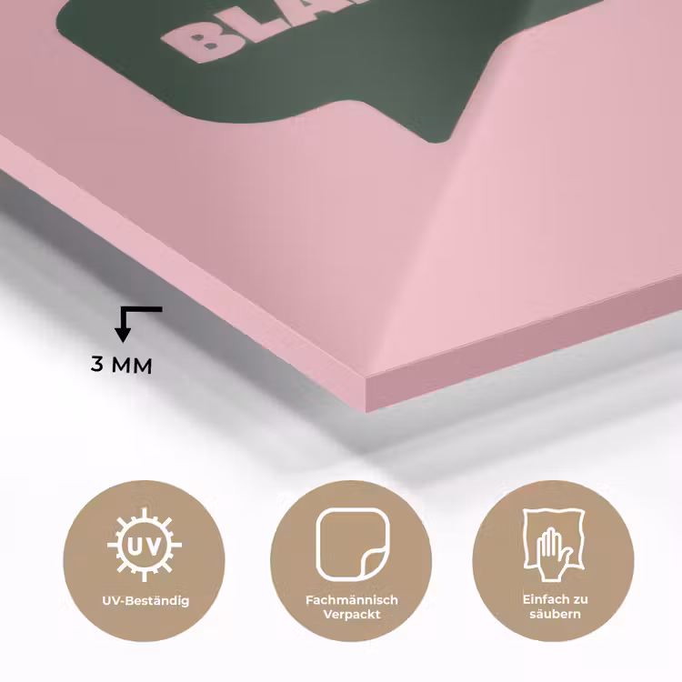 Roze - Tekstwolk - Groen - BLAH BLAH BLAH plexiglas 5mm klein -wsfeer2_DE