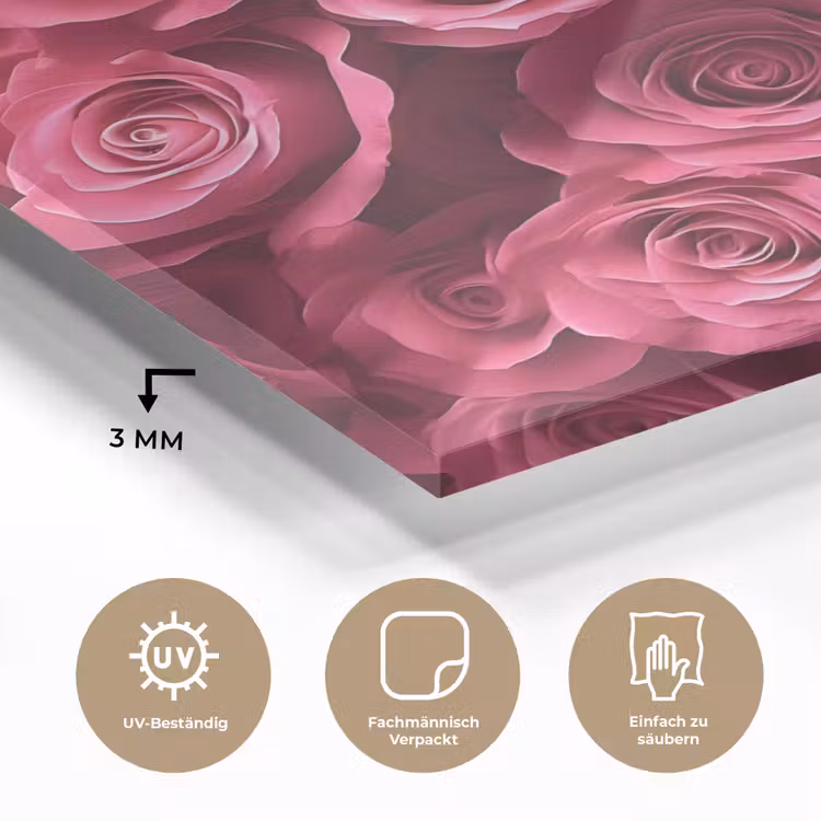 Rozen - Pink - Bloem plexiglas 5mm klein -wsfeer2_DE