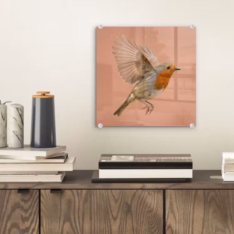 Roodborst - Natuur - Roze plexiglas 5mm klein -sfeer1