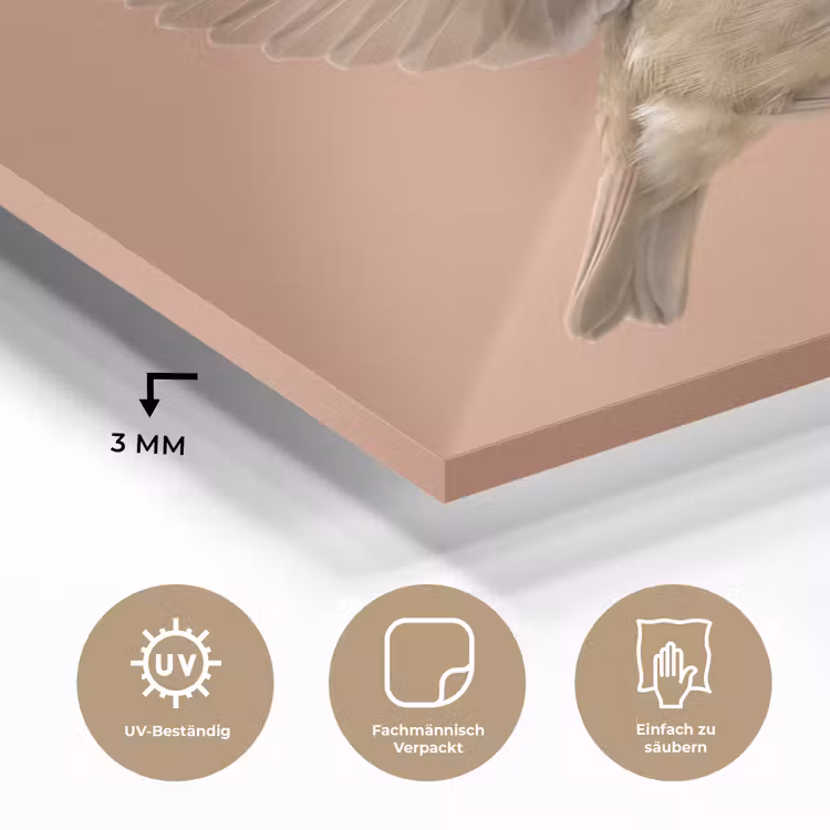 Roodborst - Natuur - Roze plexiglas 5mm klein -wsfeer2_DE