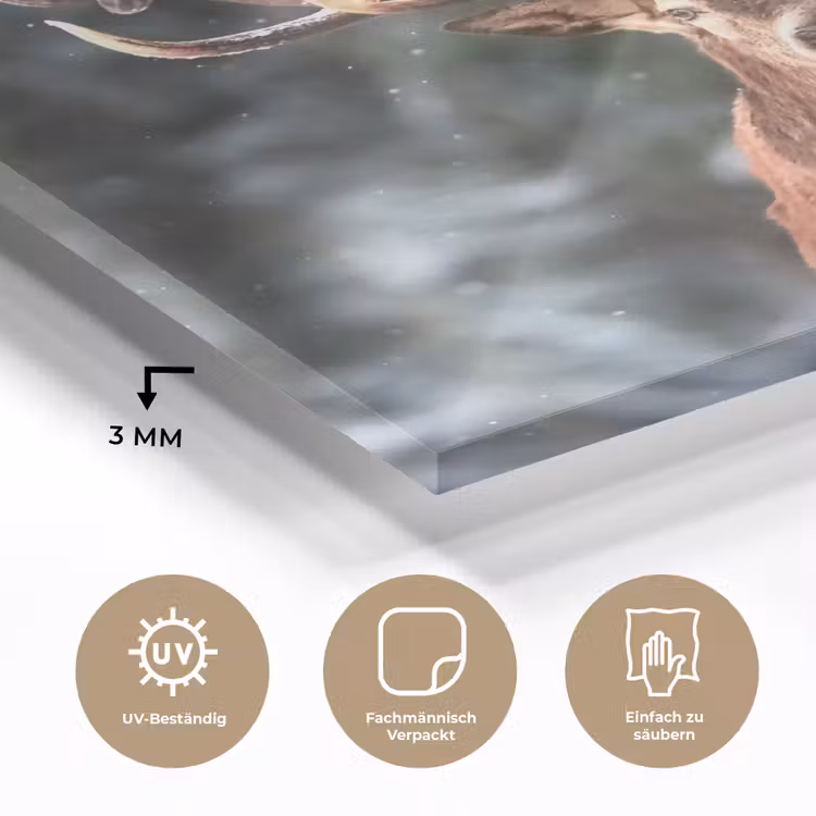 Hert - Winter - Sneeuw - Bos - Natuur - Dier plexiglas 5mm klein -wsfeer2_DE