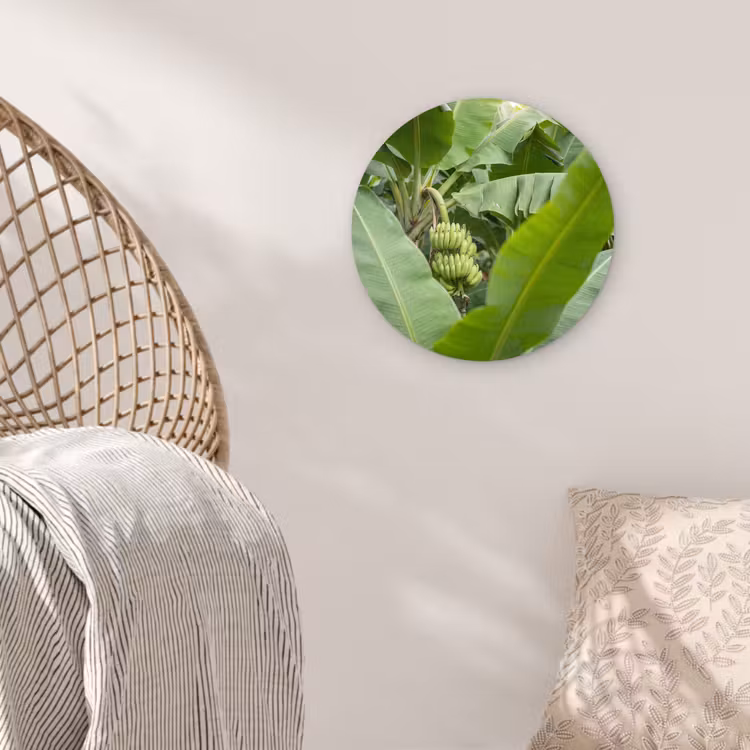 Glasbild Rund - Essen – Bananen – Plantage – Grün - Eten - Bananen - Plantage - Groen Wandcirkel plexiglas klein