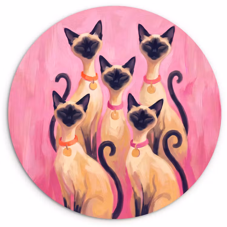 Glasbild Rund - Katze – Gruppe – Tiere – Modern – Rosa - Kat - Groep - Dieren - Modern - Roze Wandcirkel plexiglas klein