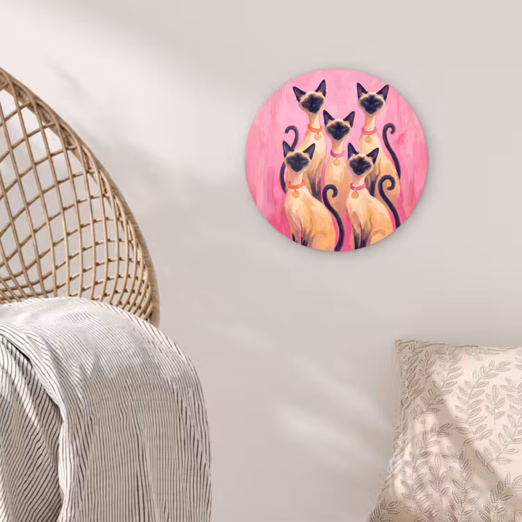 Glasbild Rund - Katze – Gruppe – Tiere – Modern – Rosa - Kat - Groep - Dieren - Modern - Roze Wandcirkel plexiglas klein