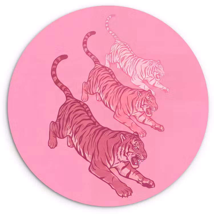 Glasbild Rund - Katze – springend – Tiere – Rosa – Modern - Kat - Springend - Dieren - Roze - Modern Wandcirkel plexiglas klein