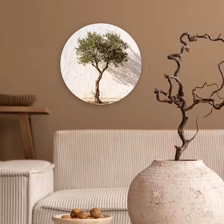 Glasbild Rund - Olivenbaum – Wand – weiß - Olijfboom - muur - wit Wandcirkel plexiglas klein