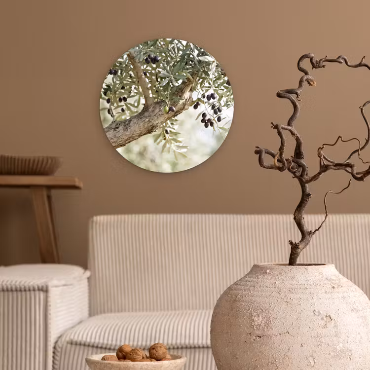 Glasbild Rund - Olivenbaum – Zweig – grün - Olijfboom - tak - groen Wandcirkel plexiglas klein