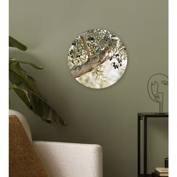 Glasbild Rund - Olivenbaum – Zweig – grün - Olijfboom - tak - groen Wandcirkel plexiglas klein