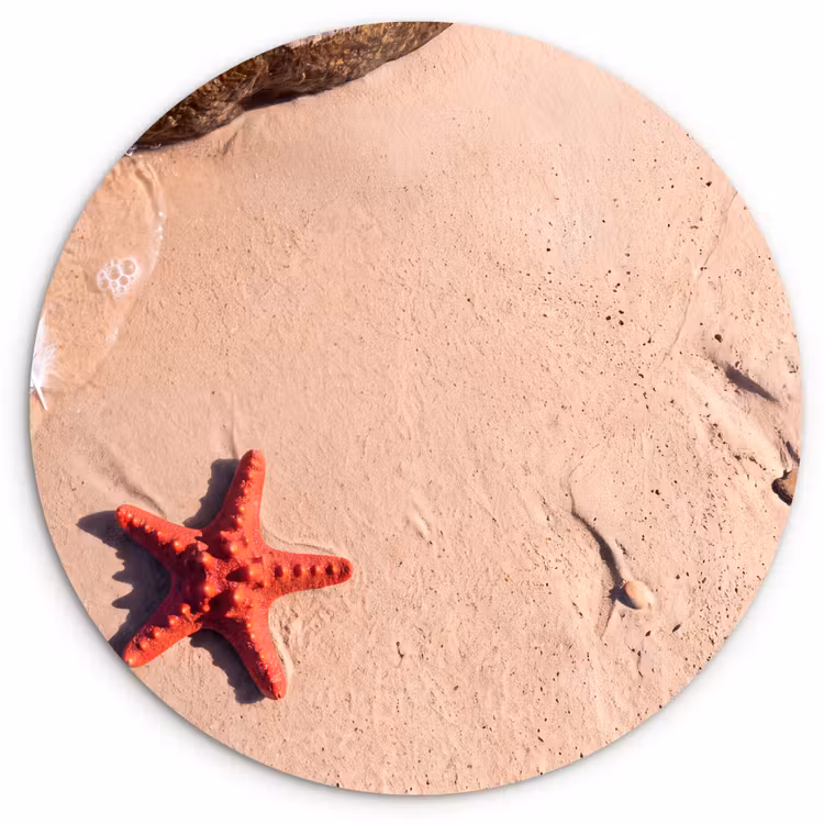 Glasbild Rund - Tiere – Strand – Meer – Natur – Rot - Dieren - Strand - Zee - Natuur - Rood Wandcirkel plexiglas klein