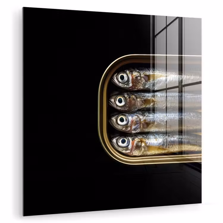 Sardines - Blik - Zwart - Vissen plexiglas 5mm klein -zzzproduct_nieuw