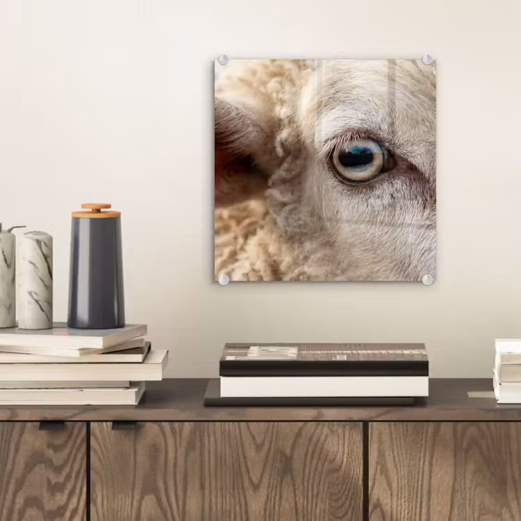Schaap - Oog - Wit plexiglas 5mm klein -sfeer1