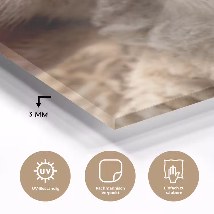 Schaap - Oog - Wit plexiglas 5mm klein -wsfeer2_DE