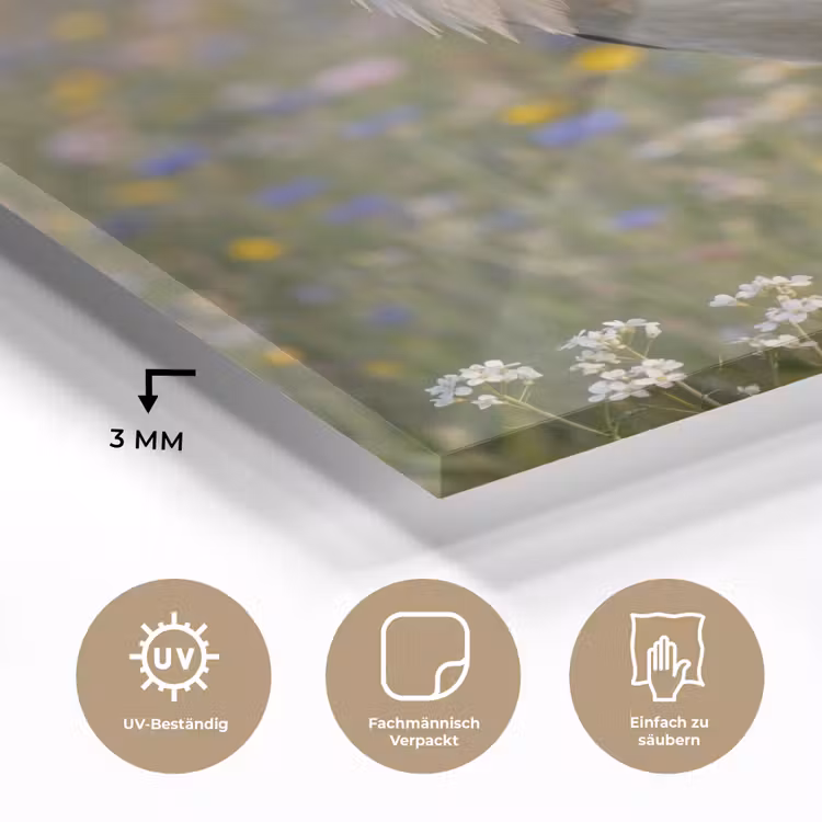 Ooienvaar - Bloemen - Weide - Kleurrijk plexiglas 5mm klein -wsfeer2_DE